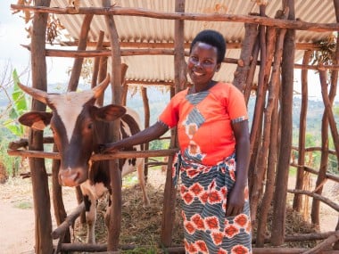 Marie-Claire Ayinkamiye with her cow