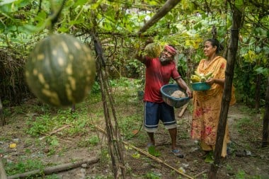 Sabina Akhter (28) and Saiful Islam (45) proudly display a pair of ripe pumpkins