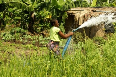 Solar Water Pump gift in action