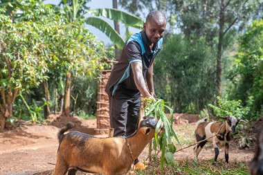 Animal check up gift in action
