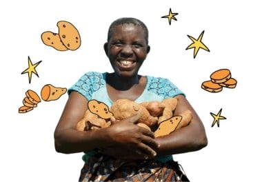 Sweet potatoes main image
