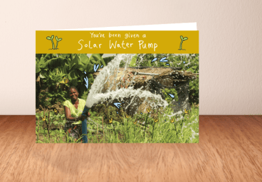 Solar Water Pump what you get