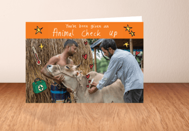 Animal check up what you get