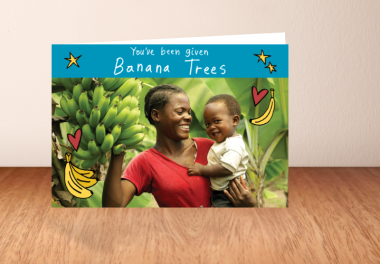 Banana trees what you get