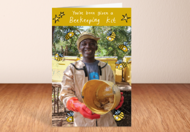Beekeeping kit what you get
