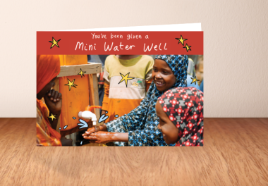 Mini water well what you get