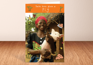 Pig what you get image
