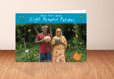 Eight pumpkin patches what you get