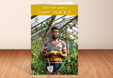 Super Seed Kit what you get