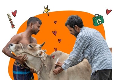 Animal check-up - lead image