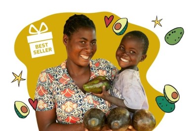 Avocado trees - lead image
