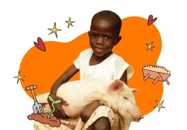 Pig - lead image