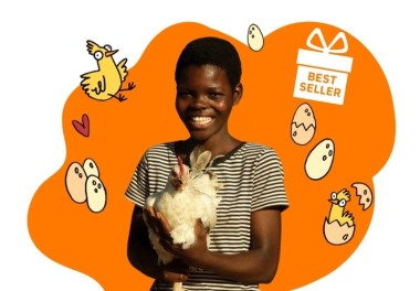 Six chickens - lead image
