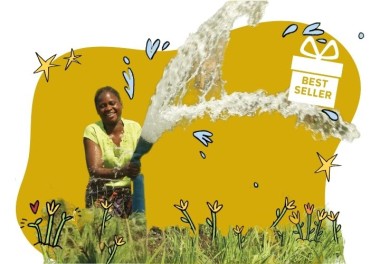 Solar water pump - lead image