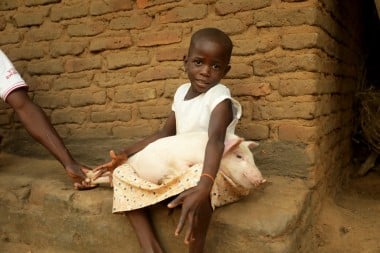 Angela Shard holds her piglet