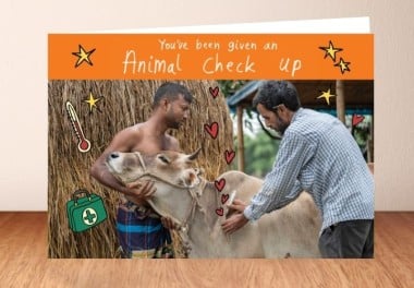 Animal check up what you get