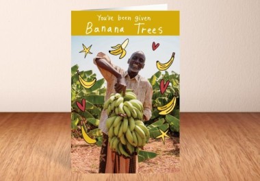 Banana trees - What you get
