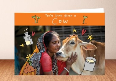 Cow - What you get image