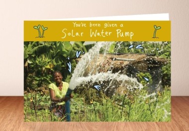 Solar water pump - What you get