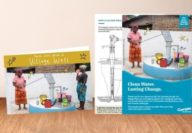 Village well - What you get