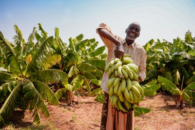 Hussein Abdulahi Hussein (60) a farmer and a father of 12 children