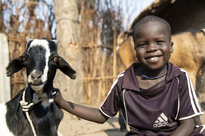 Nyabiel Nyang's son Chiny (pictured) with the family's goats in Ethiopia