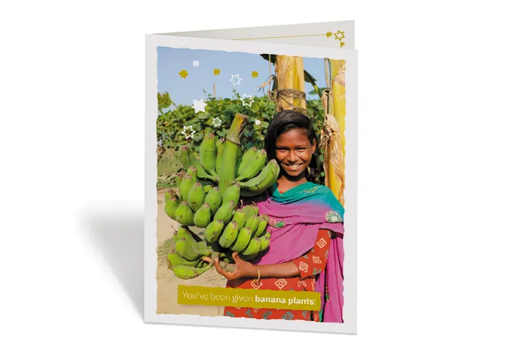 Concern Gift Card Banana Plants Concern Gift Card Banana Plants