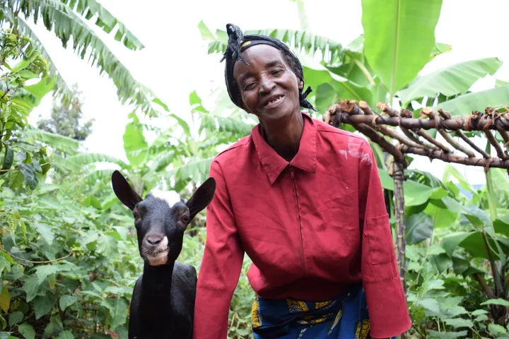 Widow Isabelle Mundana (66) with her goat Martin. She has benefited from five goats as part of Concern’s community and household resilience programme, Burundi 2017. Photo: Darren Vaughan / Concern Worldwide Widow Isabelle Mundana (66) with her goat Martin. She has benefited from five goats as part of Concern’s community and household resilience programme, Burundi 2017. Photo: Darren Vaughan / Concern Worldwide