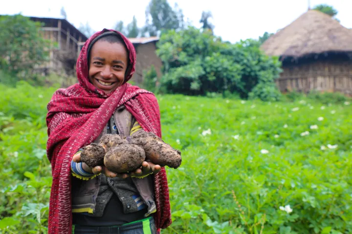Mehamed Ahimed Ali (15) shows some of the potatoes from his family's successful harvest thanks to Concern. Photo: Jennifer Nolan, Ethiopia, 2017. Mehamed Ahimed Ali (15) shows some of the potatoes from his family's successful harvest thanks to Concern. Photo: Jennifer Nolan, Ethiopia, 2017.
