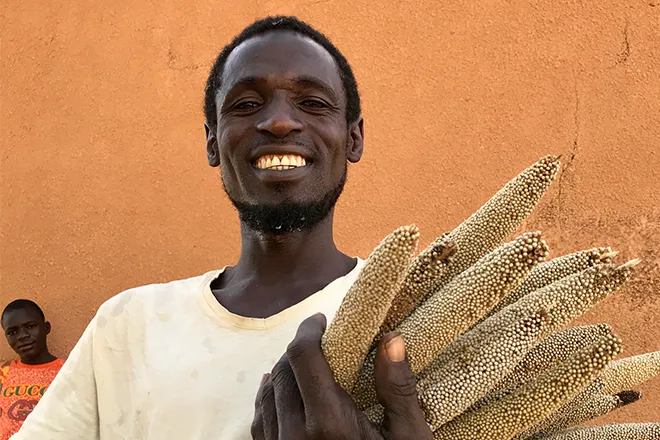 37-year-old Mika Abdu proudly displays some of his short-season millet crop, grown from seeds supplied by Concern. Photo: Darren Vaughan/ Concern Worldwide. 37-year-old Mika Abdu proudly displays some of his short-season millet crop, grown from seeds supplied by Concern. Photo: Darren Vaughan/ Concern Worldwide.
