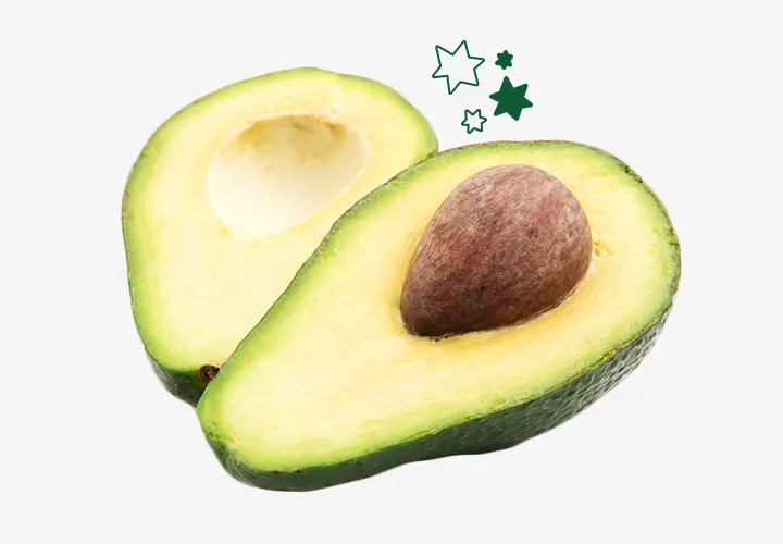 Concern Gifts Avocado trees Concern Gifts Avocado trees