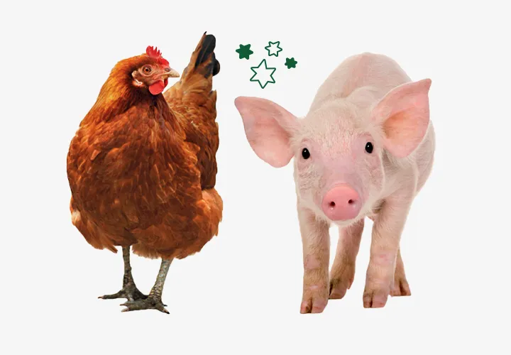 Concern Gifts Mini Farmyard Concern Gifts Mini Farmyard