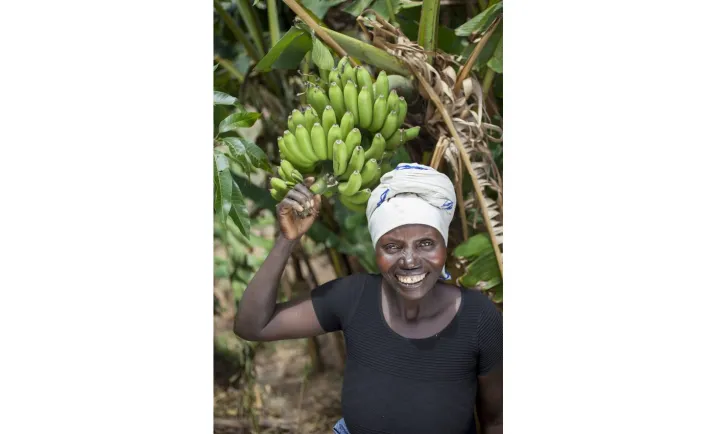 Meresiyana Cimpaye, 40, with her banana plants at her home in Bukinanyana, Cibitoke, Burundi. Photo: Abbie Trayler-Smith / Concern Worldwide Meresiyana Cimpaye, 40, with her banana plants at her home in Bukinanyana, Cibitoke, Burundi. Photo: Abbie Trayler-Smith / Concern Worldwide