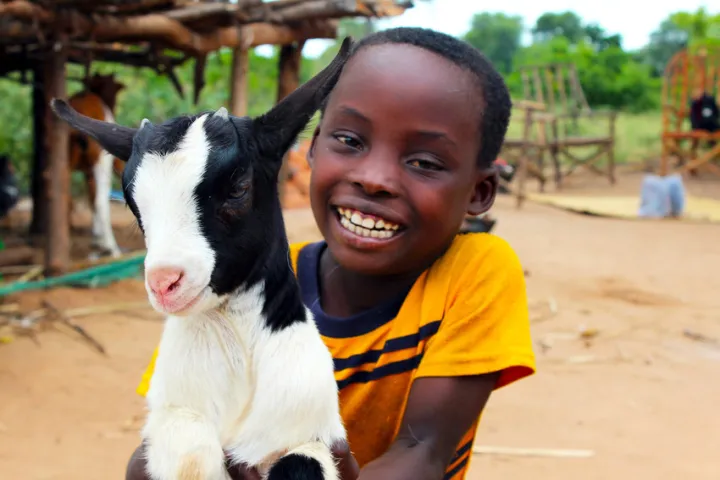 Nkhonde, 8, and Alma the goat have become the best of pals in Siki Village Malawi. Photo: Jason Kennedy / Concern Worldwide Nkhonde, 8, and Alma the goat have become the best of pals in Siki Village Malawi. Photo: Jason Kennedy / Concern Worldwide