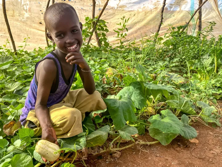 Abudho (6) admires his mother’s plot of healthy butternut squash at home in Northern Kenya. Photo: Jennifer Nolan / Concern Worldwide Abudho (6) admires his mother’s plot of healthy butternut squash at home in Northern Kenya. Photo: Jennifer Nolan / Concern Worldwide