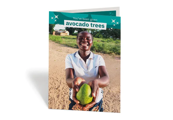 2020 GIFTS - AVOCADO 2020 GIFTS - AVOCADO