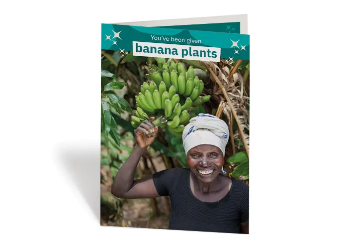gifts - bananas gifts - bananas