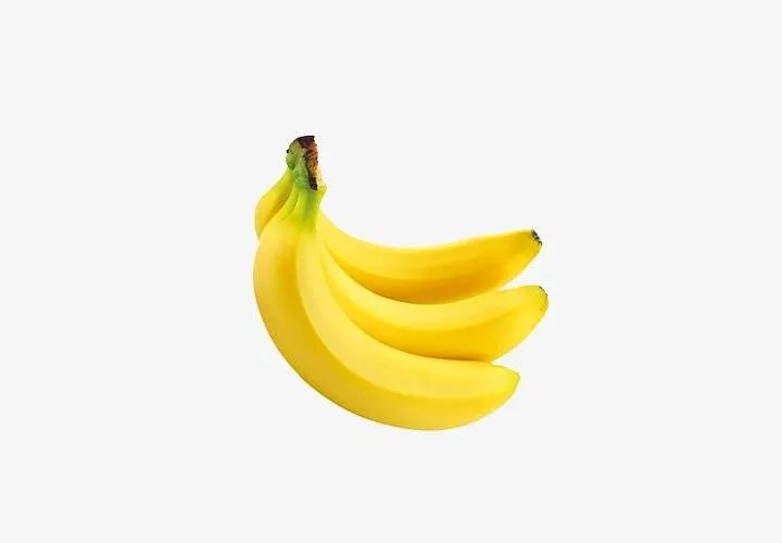 Banana Plants Banana Plants