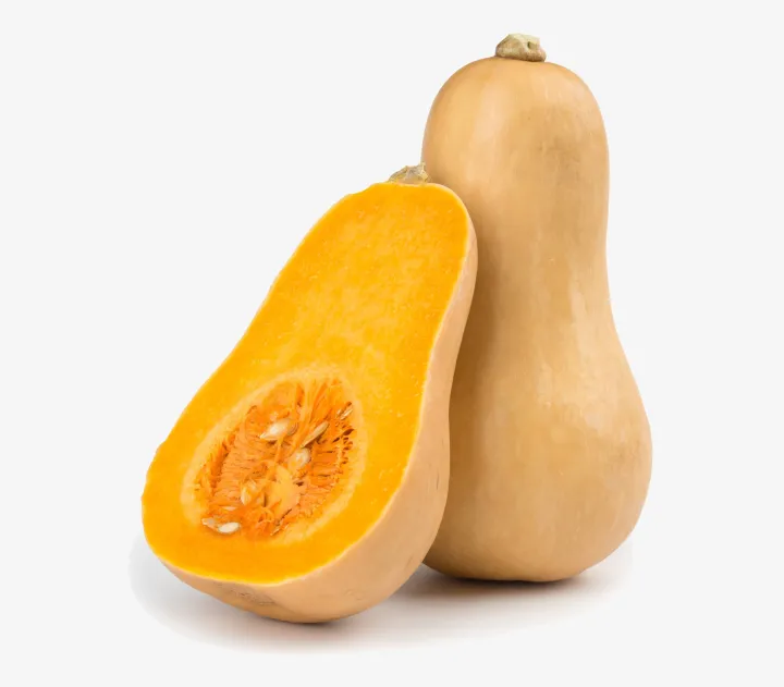 Butternut Squash Butternut Squash
