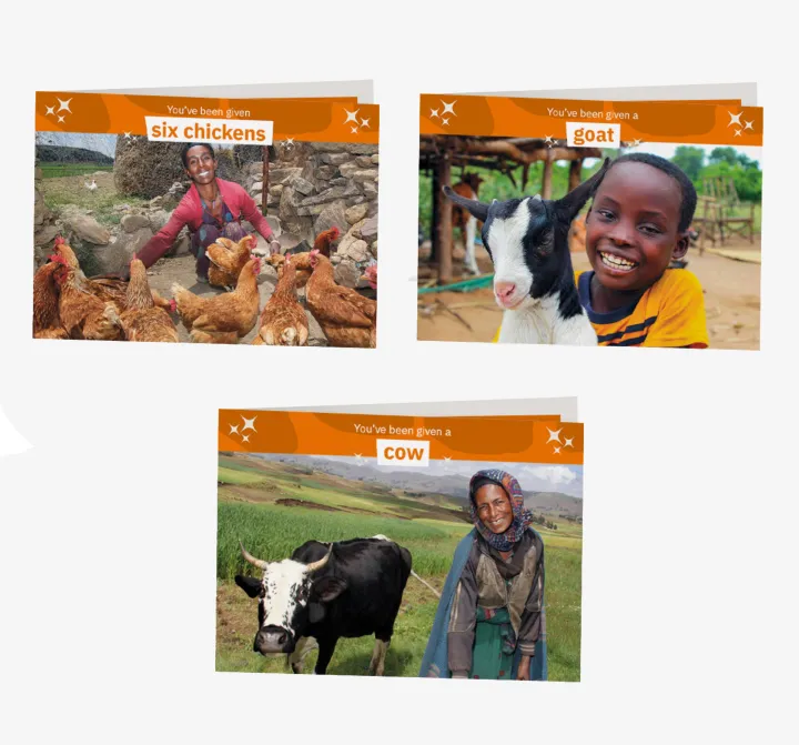 Farmyard bundle 2020 Farmyard bundle 2020