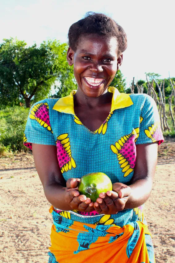 Malita Isaac, 25, shows off one of the avocados she’s grown in Malawi with the support of Concern. Photo: Jason Kennedy /Concern Worldwide