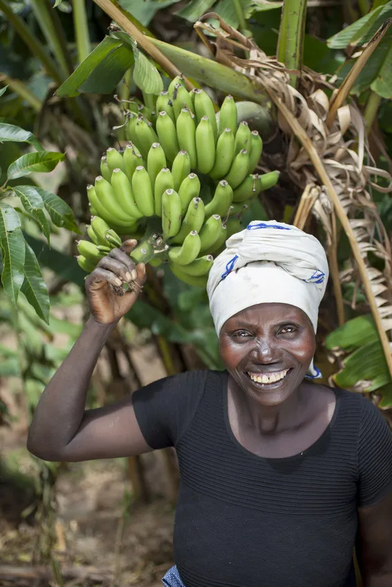 Meresiyana Cimpaye, 40, with her banana plants at her home in Bukinanyana, Cibitoke, Burundi. Photo: Abbie Trayler-Smith / Concern Worldwide Meresiyana Cimpaye, 40, with her banana plants at her home in Bukinanyana, Cibitoke, Burundi. Photo: Abbie Trayler-Smith / Concern Worldwide