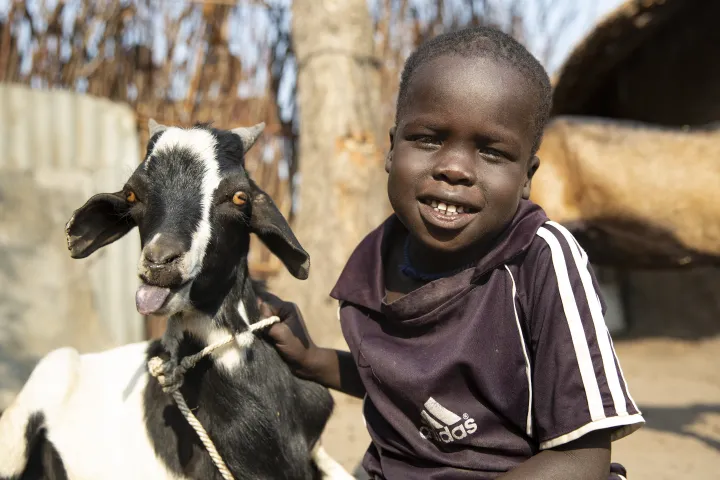 Chiny, 4, is all smiles thanks to his goat Simone, in Gambella, Ethiopia. Photo: Kieran McConville / Concern Worldwide Chiny, 4, is all smiles thanks to his goat Simone, in Gambella, Ethiopia. Photo: Kieran McConville / Concern Worldwide