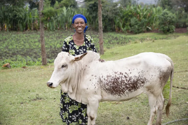 Mestawat with her lifechanging cow in Ethiopia. Photo: Kieran McConville /Concern Worldwide Mestawat with her lifechanging cow in Ethiopia. Photo: Kieran McConville /Concern Worldwide