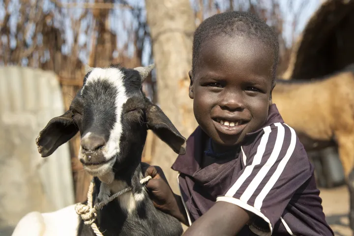 Chiny, 4, and Simone, the family goat, in Gambella, Ethiopia. Photo: Kieran McConville / Concern Worldwide Chiny, 4, and Simone, the family goat, in Gambella, Ethiopia. Photo: Kieran McConville / Concern Worldwide