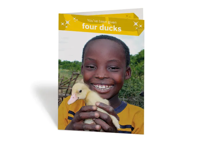 Four Ducks Four Ducks