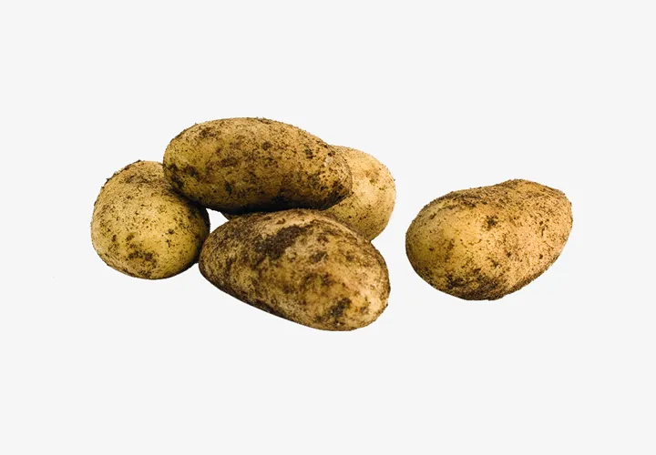 Potatoes_new