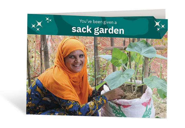 Sack Garden Sack Garden