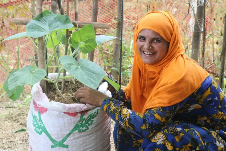 Senowara’s sack garden is a true source of joy. Photo: Concern Worldwide Senowara’s sack garden is a true source of joy. Photo: Concern Worldwide