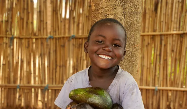 Categories_Header_avocado_child